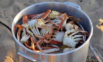 Celebrating Seafood Delights: Channel 7 Mandurah Crab Fest Draws Thousands To Coastal Town