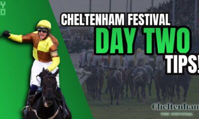 Cheltenham Festival Day Two: Lucky 15 Selections Unveiled