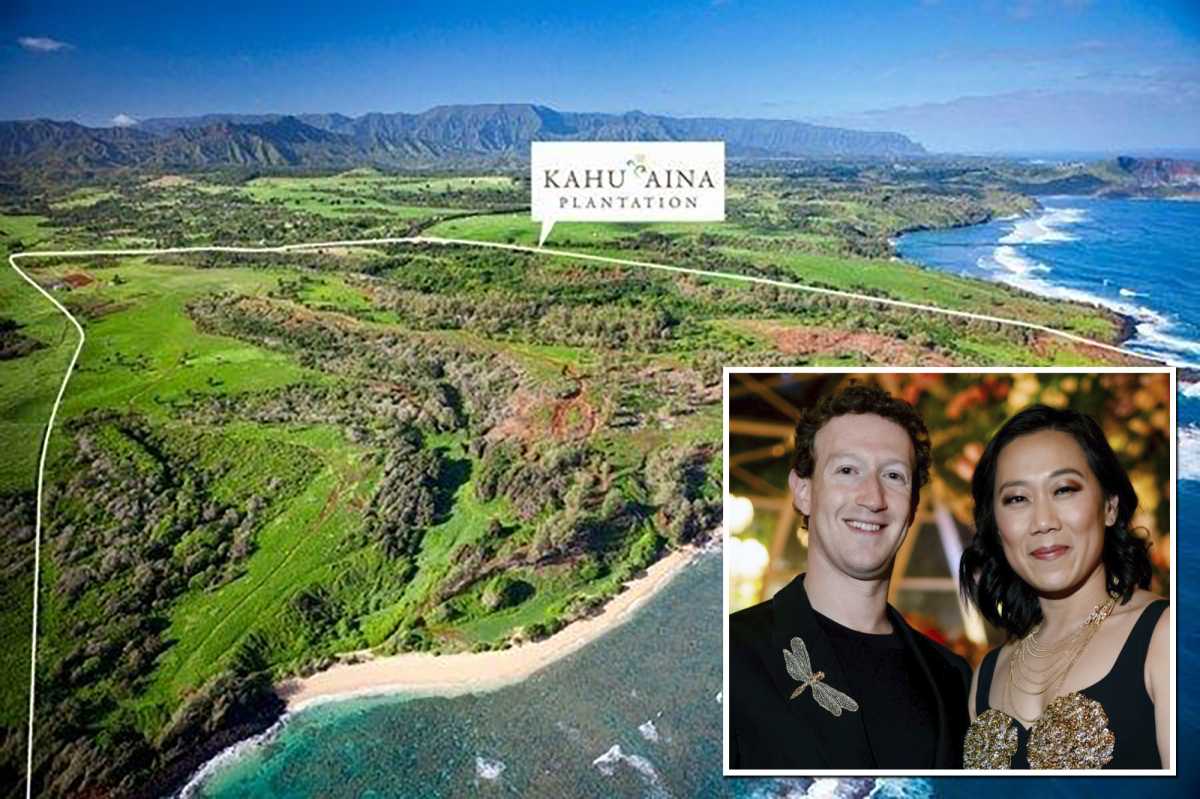 Facebook Ceo Mark Zuckerberg Acquires Estate In Hawaii Islands For Secret Bunker Project