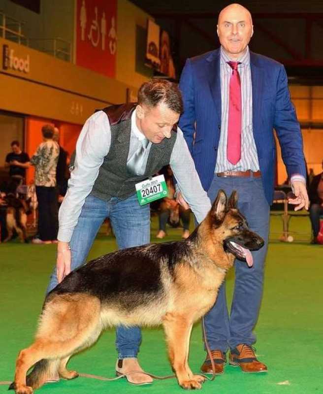 Formerly Abused Rescue Dogs Make History At Crufts Dog Show