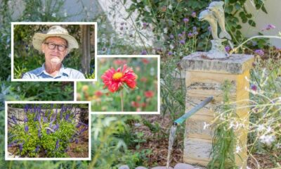 Gardening Guru Sabrina Hahn Shares Tips For Restoring Gardens As Autumn Arrives