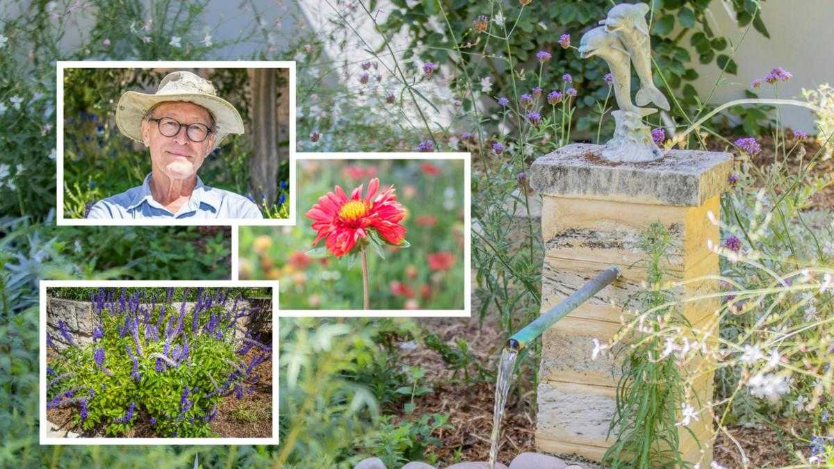 Gardening Guru Sabrina Hahn Shares Tips For Restoring Gardens As Autumn Arrives