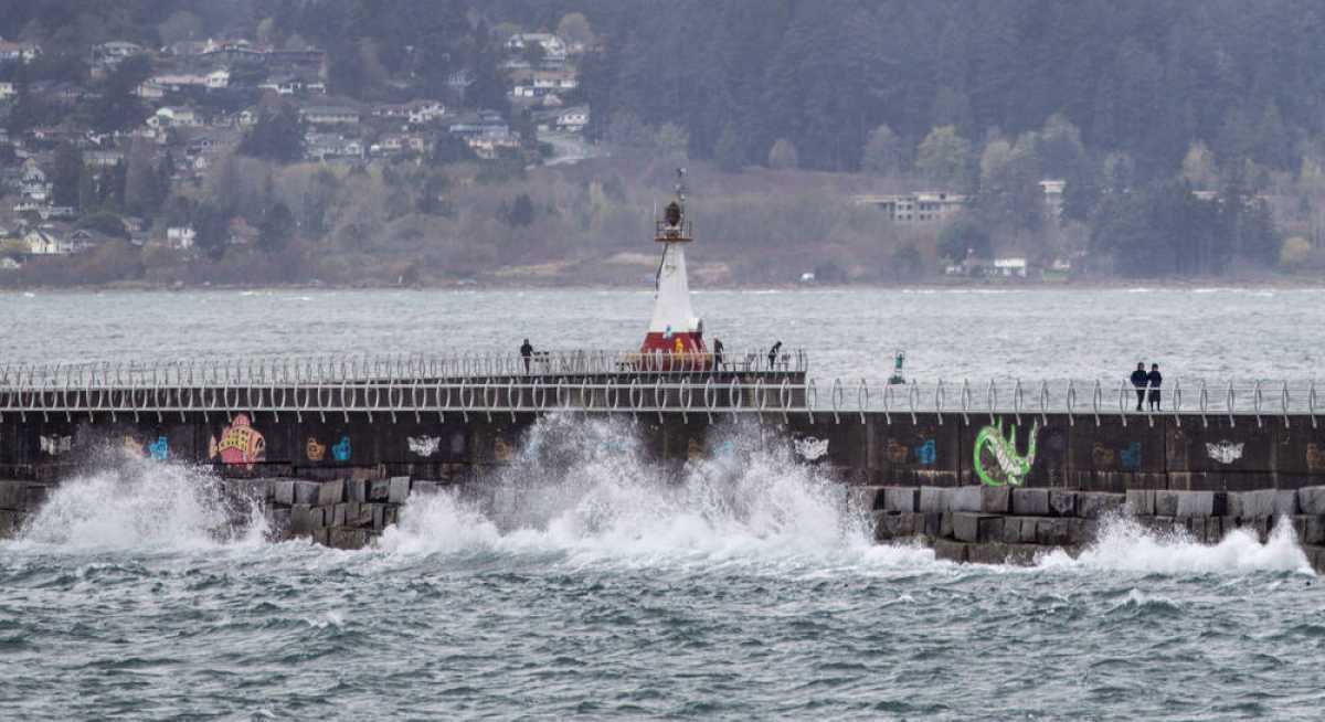 Gusty Winds Lead To Ferry Cancellations In Greater Victoria And The Gulf Islands