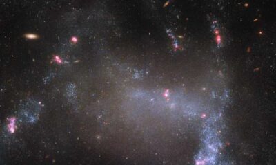 Hubble Captures Stunning Image Of Spider Galaxy Ugc 5829