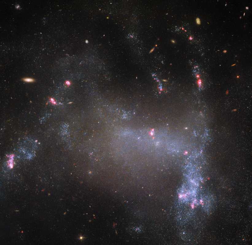 Hubble Captures Stunning Image Of Spider Galaxy Ugc 5829