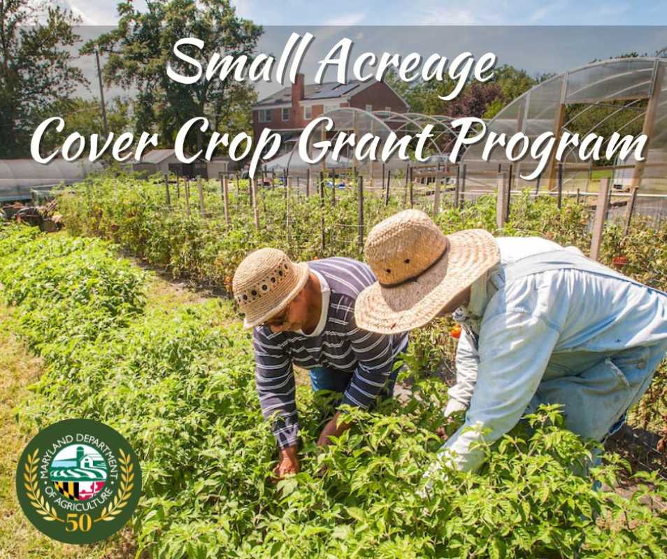 Maryland Department Of Agriculture Opens Small Acreage Cover Crop Program For Local Growers