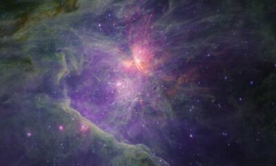 Mysterious Bright Free Floating Planets In Orion Nebula Spark Radio Signal Discovery