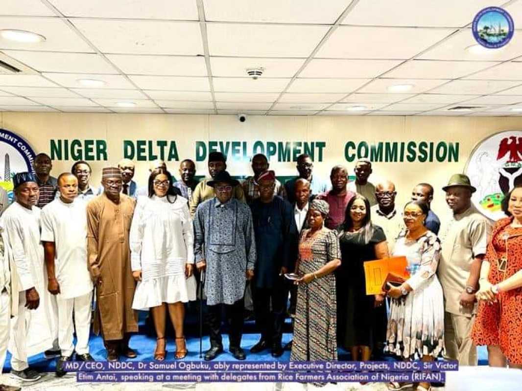 Niger Delta Development Commission Partners With Rice Farmers Association Of Nigeria To Boost Food Security