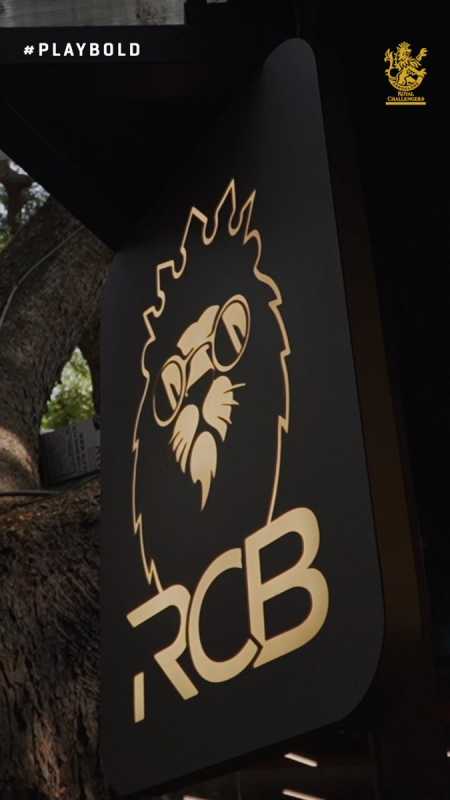 Rcb Ipl 2024: Royal Challengers Bangalore Organizes Spectacular Event With Dj Alan Walker