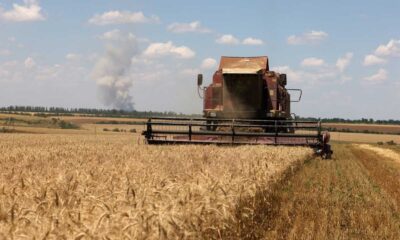 Russian Grain Trader Faces Export Disruptions Over Safety Concerns