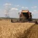 Russian Grain Trader Faces Export Disruptions Over Safety Concerns