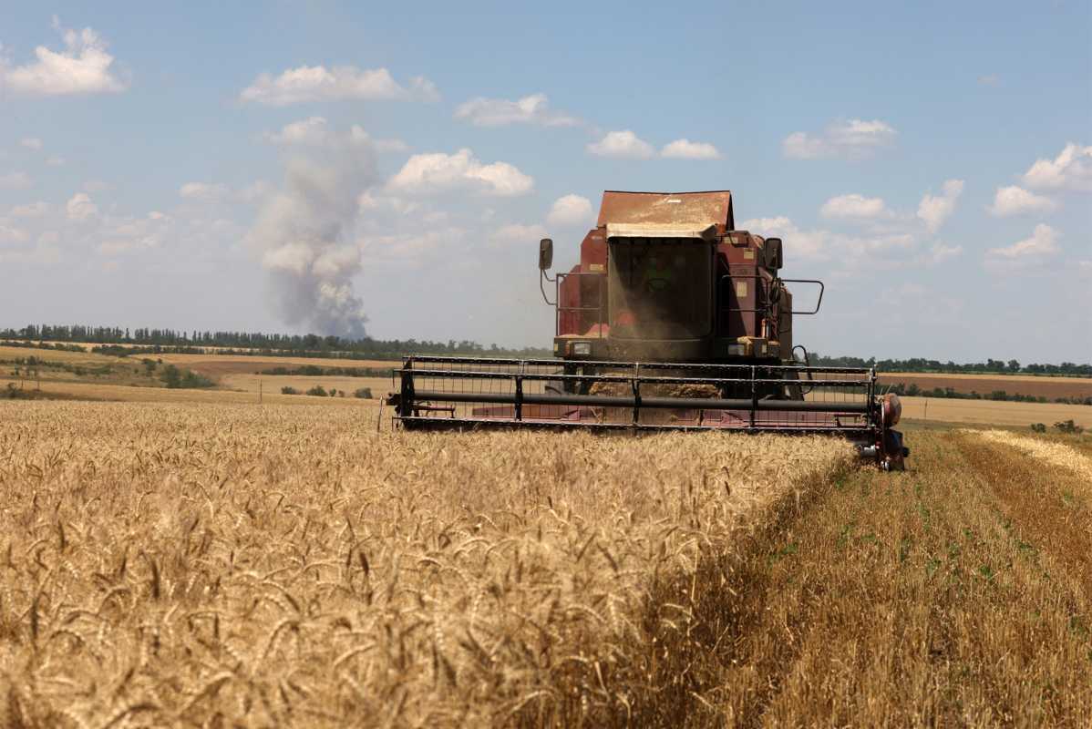 Russian Grain Trader Faces Export Disruptions Over Safety Concerns