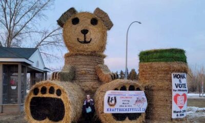 Small Saskatchewan Town Wolseley In The Running For Kraft Hockeyville Win