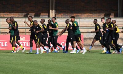 South Africa Set To Face Andorra In Test Match In Algeria
