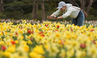 Spring Cold Spell Surprises South Carolina Residents