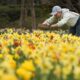 Spring Cold Spell Surprises South Carolina Residents