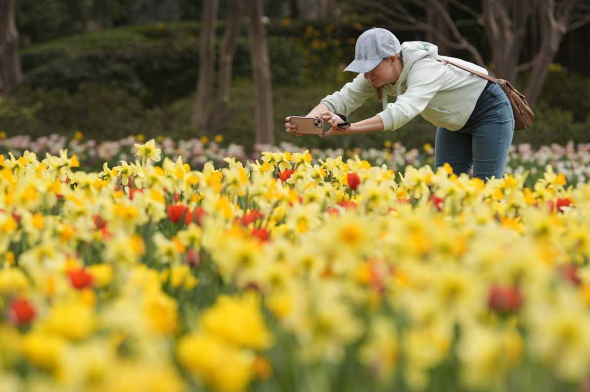 Spring Cold Spell Surprises South Carolina Residents