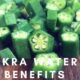 The Benefits Of Okra Water: A Nutrient Packed Health Elixir