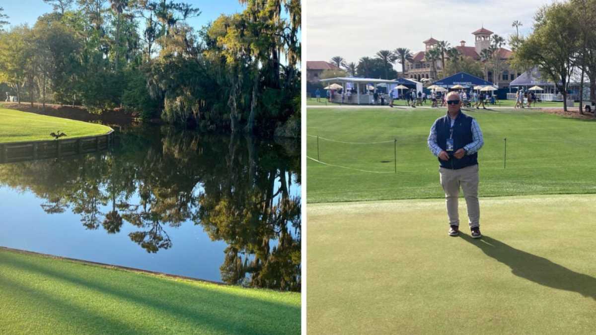 Tpc Sawgrass Unveils Stunning New Practice Green For Players And Caddies