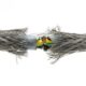 Undersea Cable Breaks Cause Internet Outages In South Africa: Microsoft Data Centers Affected By Networking Event