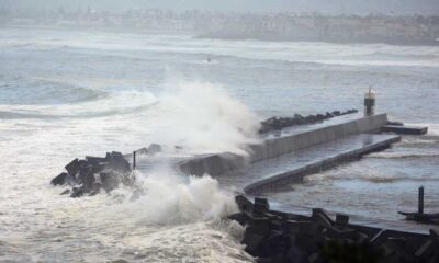 Wild Winds Wreaking Havoc In Consett: A Climate Change Crisis?