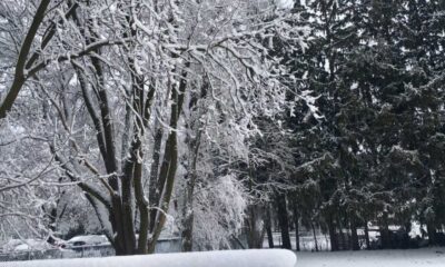 Winter Storm Warning For Waterloo Region