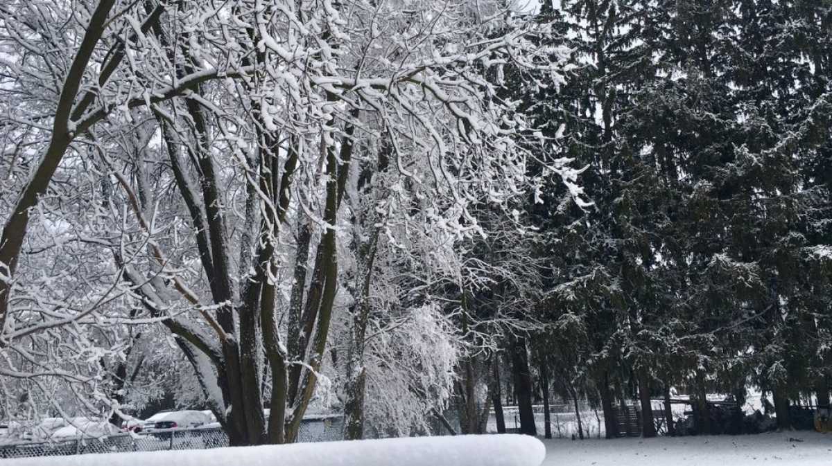 Winter Storm Warning For Waterloo Region