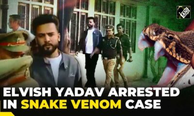 Youtuber Elvish Yadav Sentenced To Jail In Snake Venom Case: Party Allegations Surface