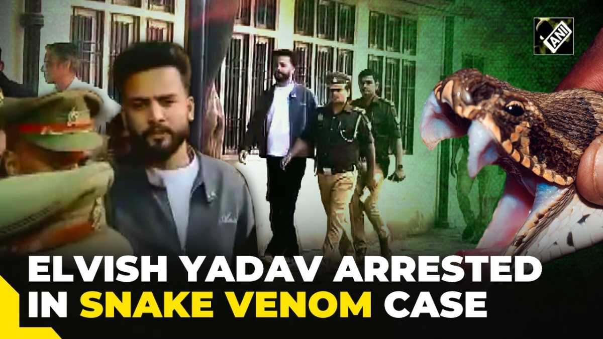 Youtuber Elvish Yadav Sentenced To Jail In Snake Venom Case: Party Allegations Surface