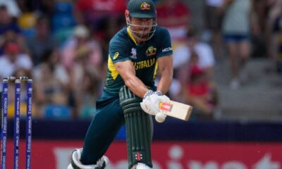 Australia Vs Scotland T20 World Cup: Markus Stoinis And Travis Head Lead Australia To Victory