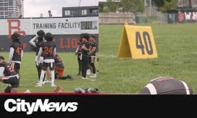 Bc Lions Set To Roar Under Return Of Electric Crowds At Bc Place