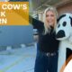 Cash Cow Returns With $20,000 Giveaway On Sunrise Show