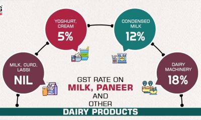 Gst Council Reduces Rates On Carton Boxes And Milk Cans, Aids Apple Growers