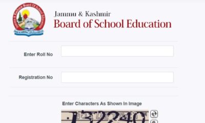 Jkbose Class 12 Results 2024 Declared: Check Scores Now