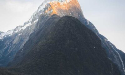 Lost Tourist Found After Extensive Search Near Milford Track