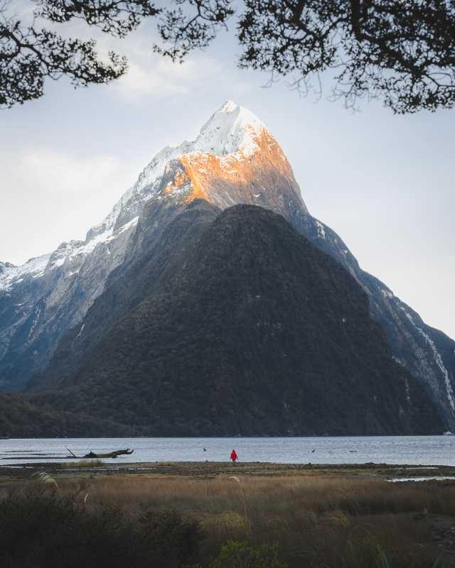 Lost Tourist Found After Extensive Search Near Milford Track