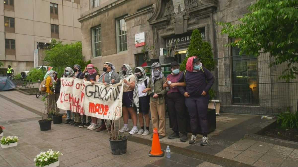 Mcgill Campus Clashes: Police Disperse Protesters From Administration Building