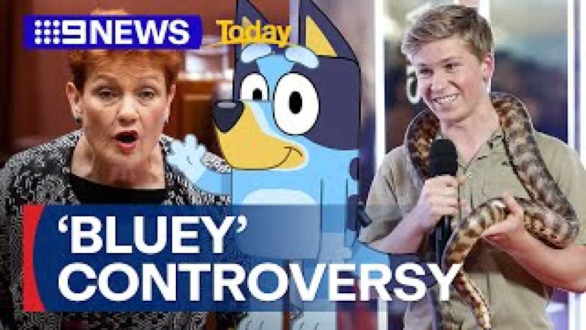 Robert Irwin Faces Backlash Over Threat To Sue Pauline Hanson For Depiction In Cartoon