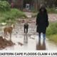 Tornado Devastation Strikes Othongathi As Eastern Cape Floods Claim More Lives