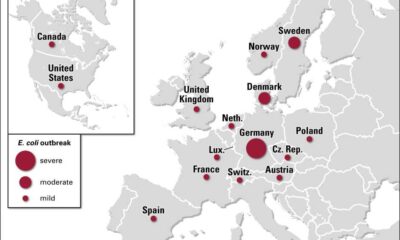 Uk Health Authorities Investigate E. Coli Outbreak Linked To National Food Item