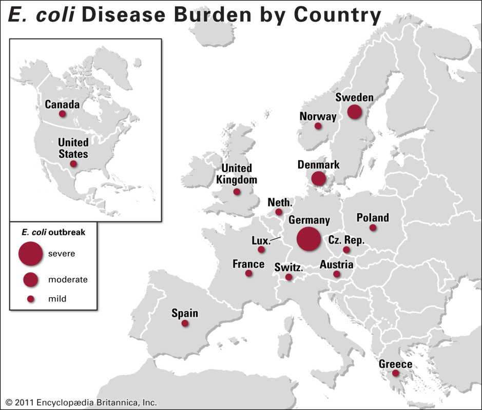 Uk Health Authorities Investigate E. Coli Outbreak Linked To National Food Item