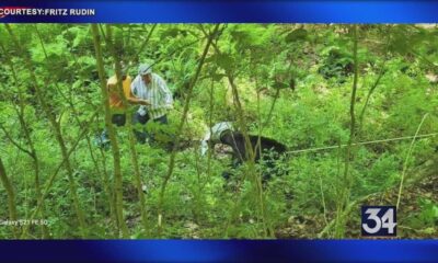 Volunteers Successfully Free Bear With Milk Can Stuck On Head In Tioga County Rescue Mission