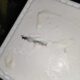 Woman In Noida Discovers Dead Centipede In Online Ordered Ice Cream Tub