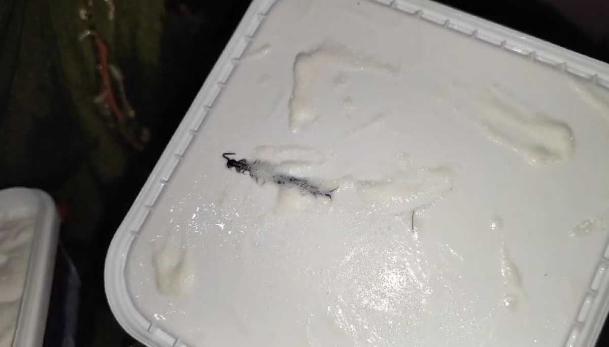 Woman In Noida Discovers Dead Centipede In Online Ordered Ice Cream Tub