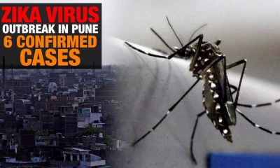 Pune City Witnesses Rise In Zika Virus Cases: Two Pregnant Women Affected