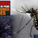 Pune City Witnesses Rise In Zika Virus Cases: Two Pregnant Women Affected