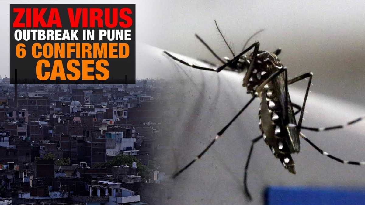 Pune City Witnesses Rise In Zika Virus Cases: Two Pregnant Women Affected