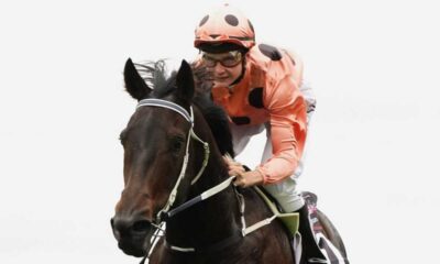 Champion Racehorse Black Caviar Passes Away