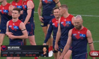 Christian Petracca Afl
