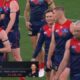 Christian Petracca Afl
